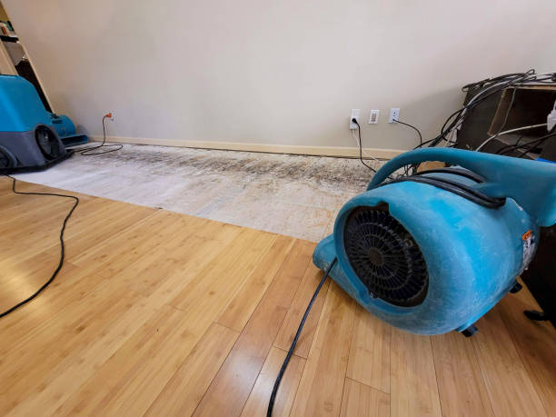 Professional Water Damage Repair technician working in Dolan Springs, AZ